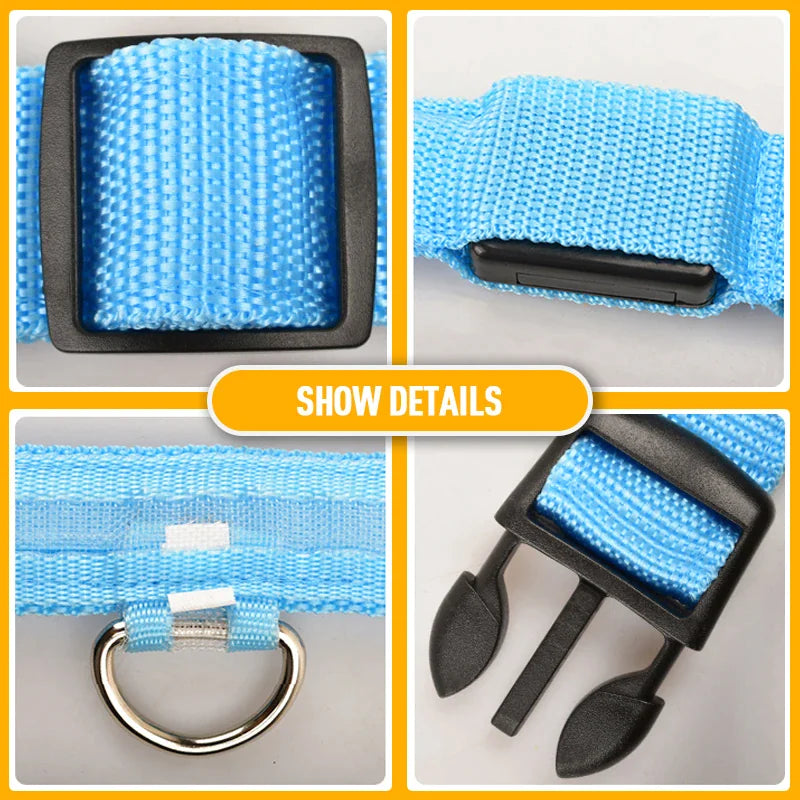 Safety LED Collar